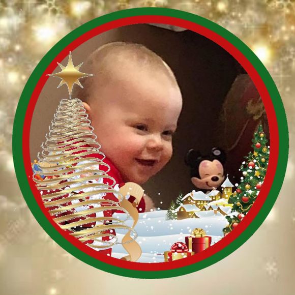 Meet your Posher, Maxine - Picture 1 of 1